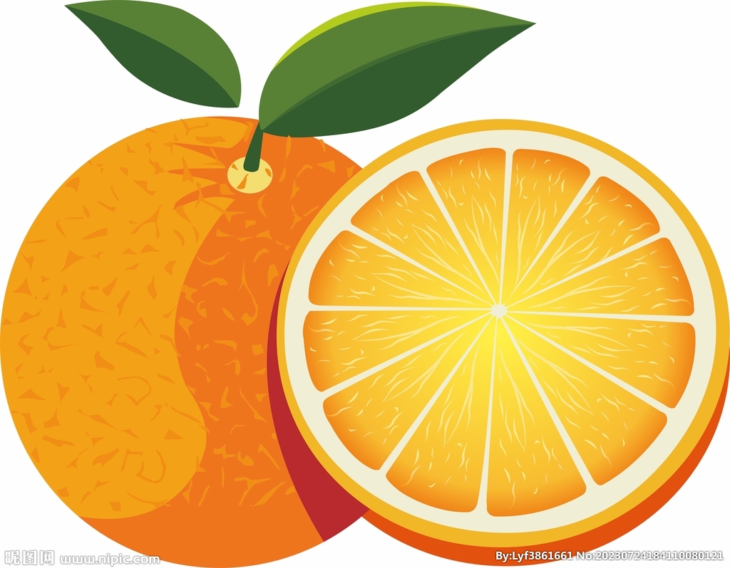 矢量橙子