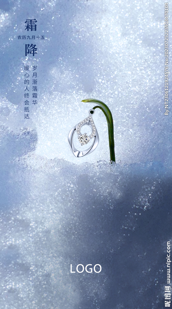霜降海报 珠宝海报