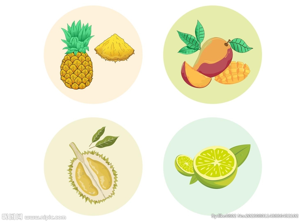 水果插画