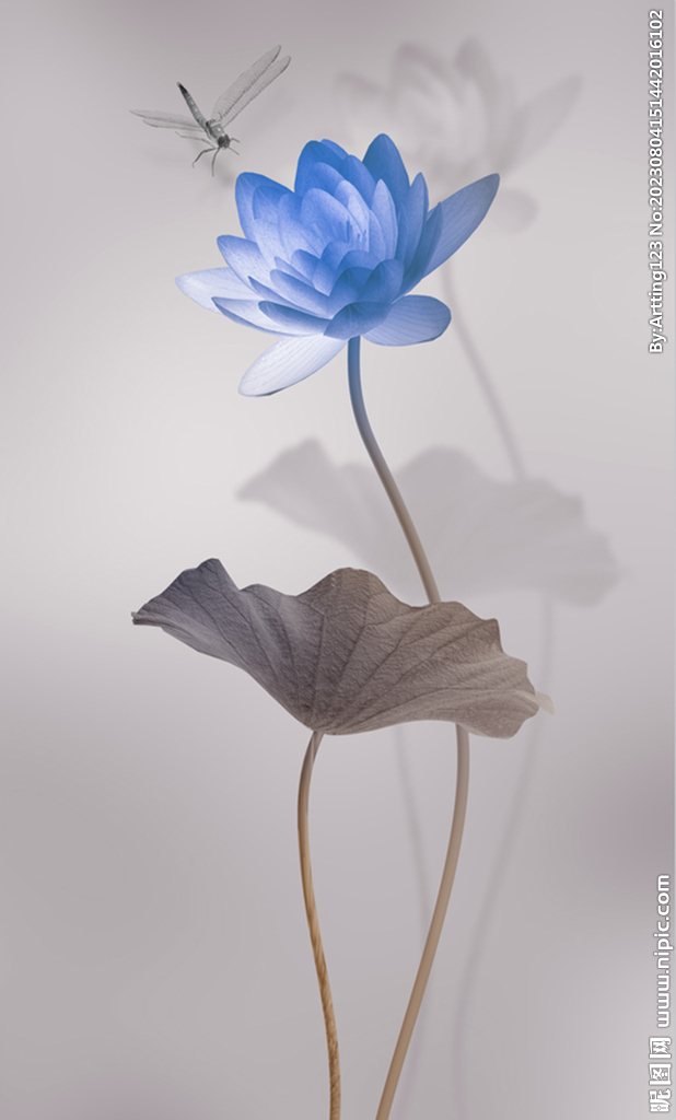 立体荷花玄关画