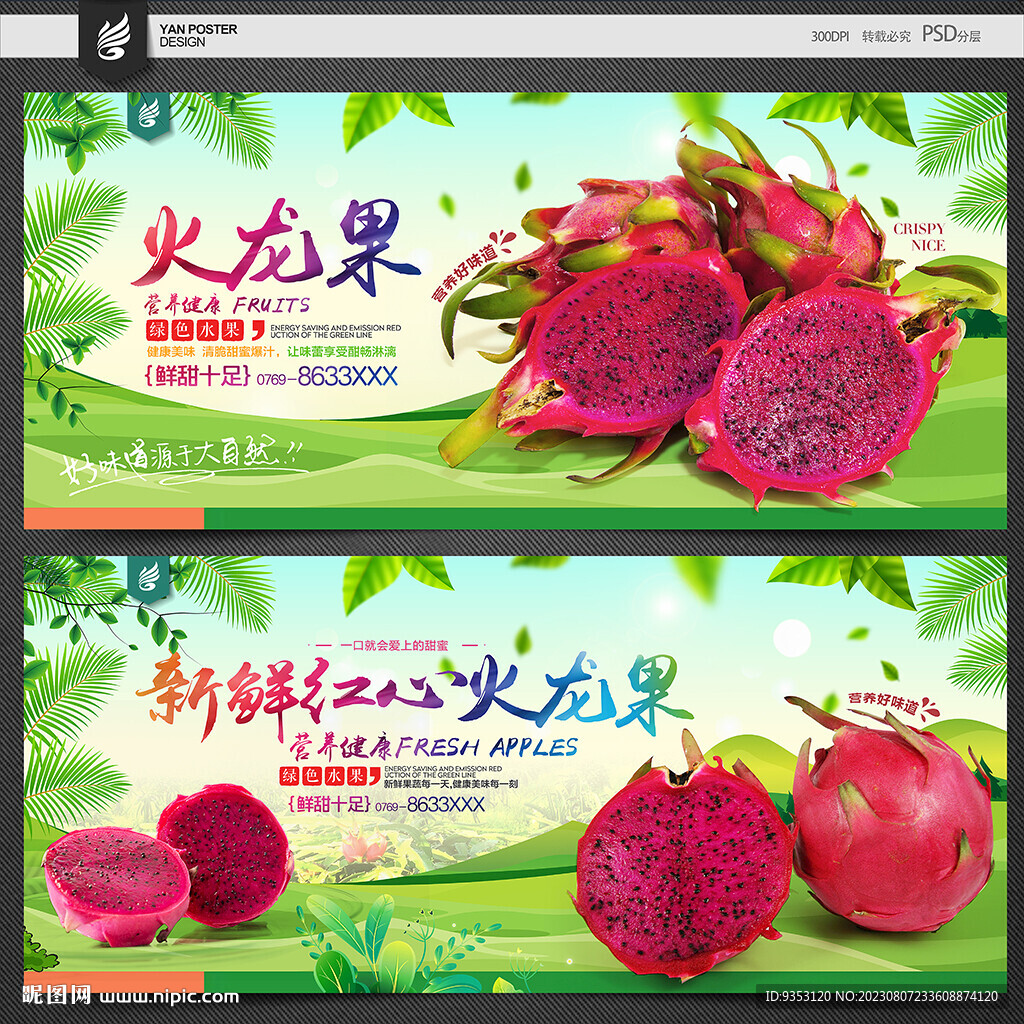 火龙果海报