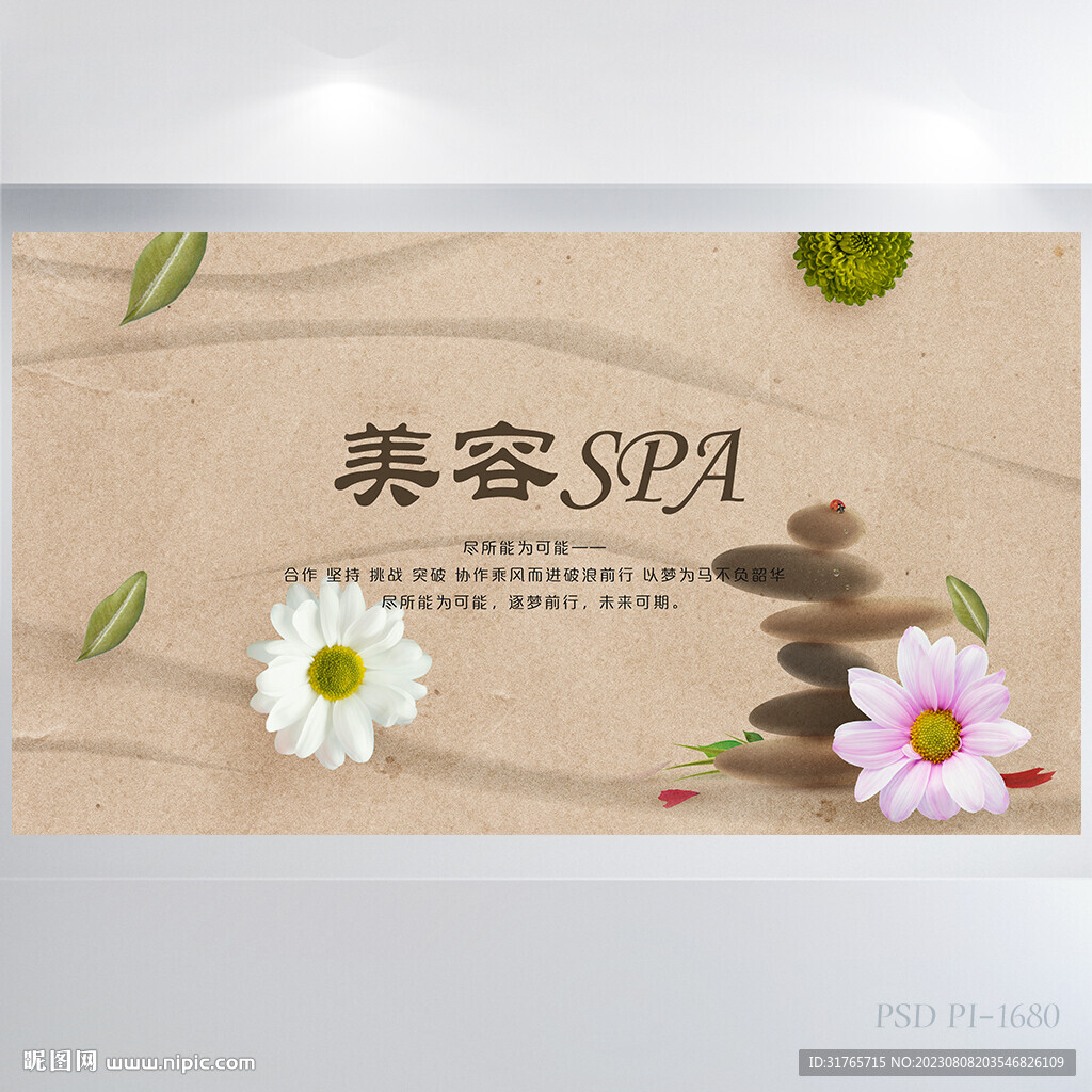 大气美容spa整形医院海报展板