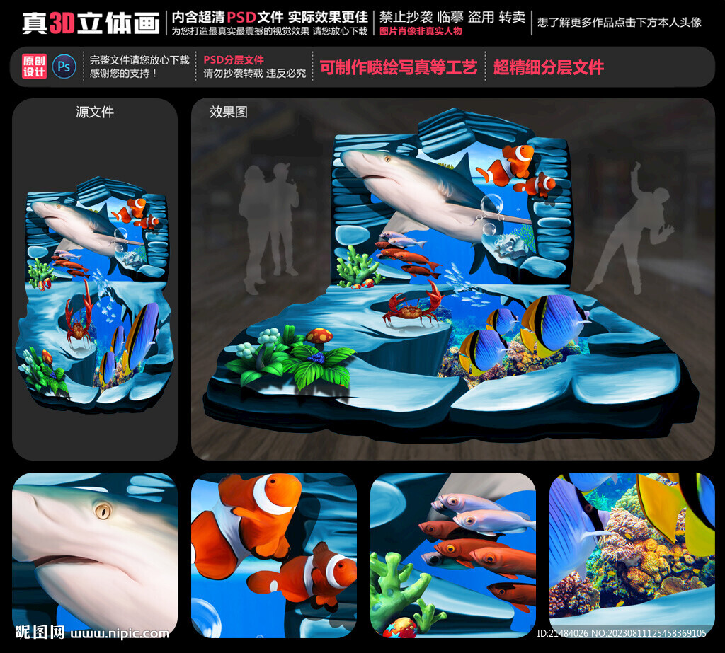 鲨鱼立体画
