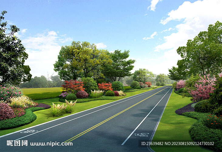 乡村道路绿化效果图