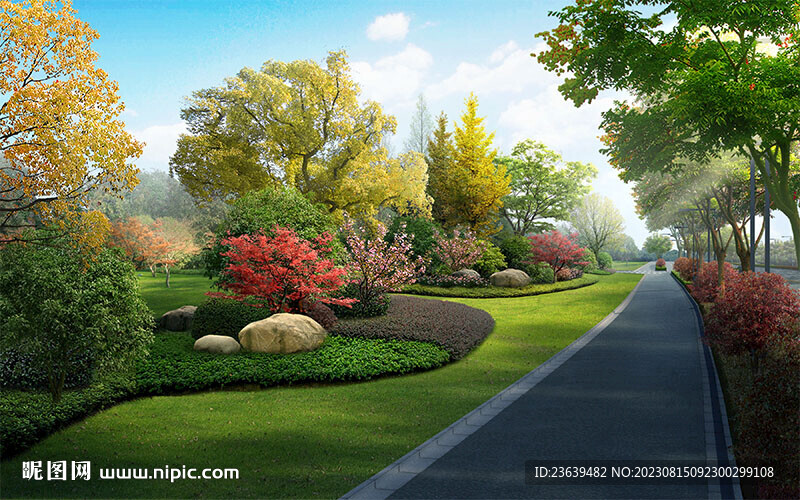 道路绿化带效果图