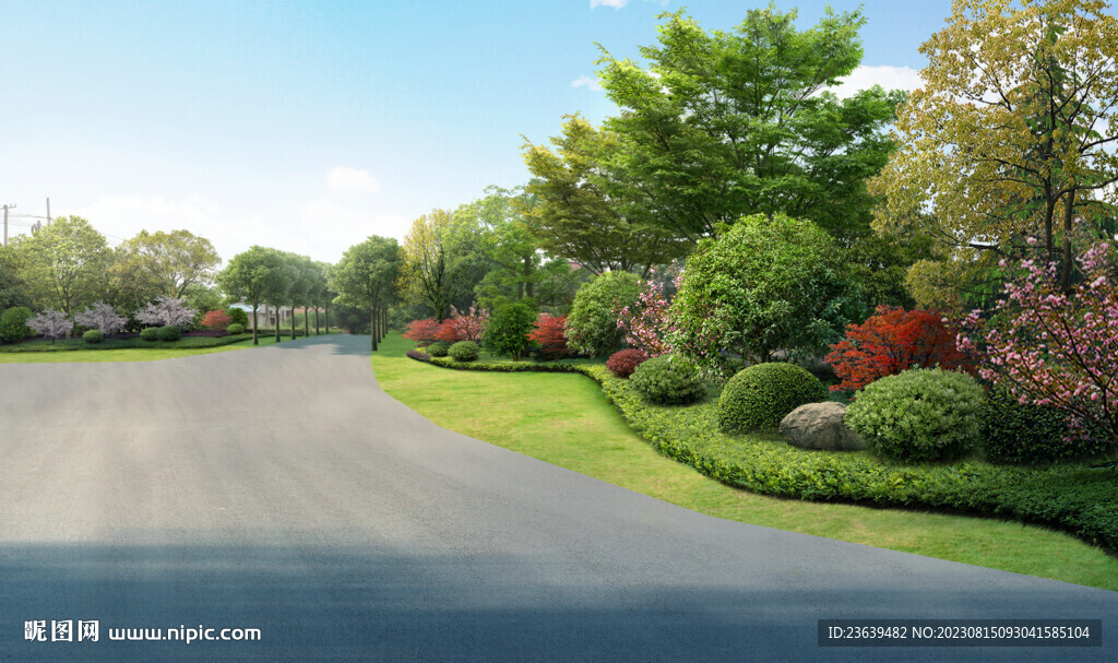 乡村道路绿化改造