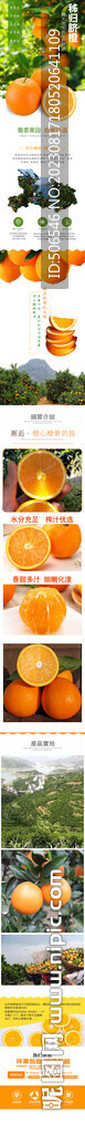 脐橙电商详情页首页设计长图