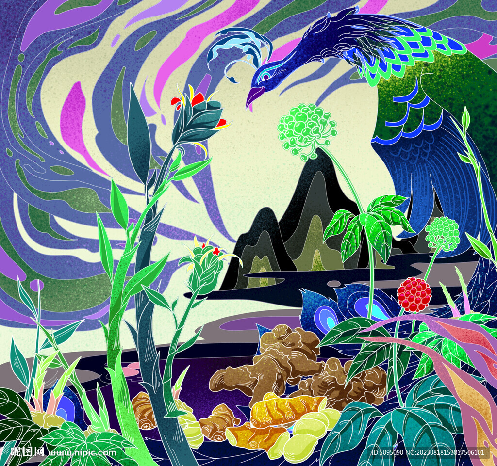 三七 姜中国风插画