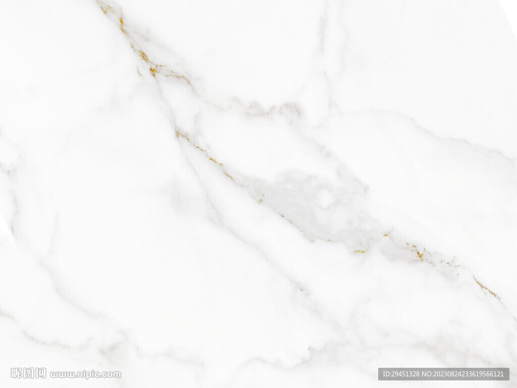 高档 金线新鱼肚白 TiF合层