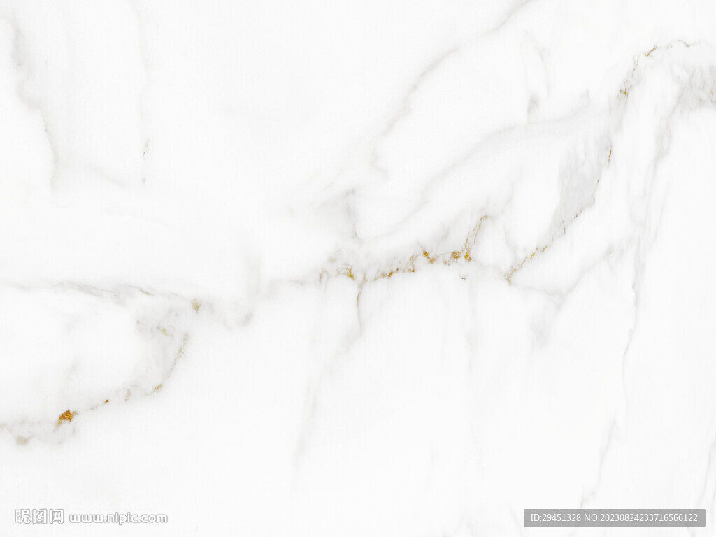 豪华 金线新鱼肚白 TiF合层