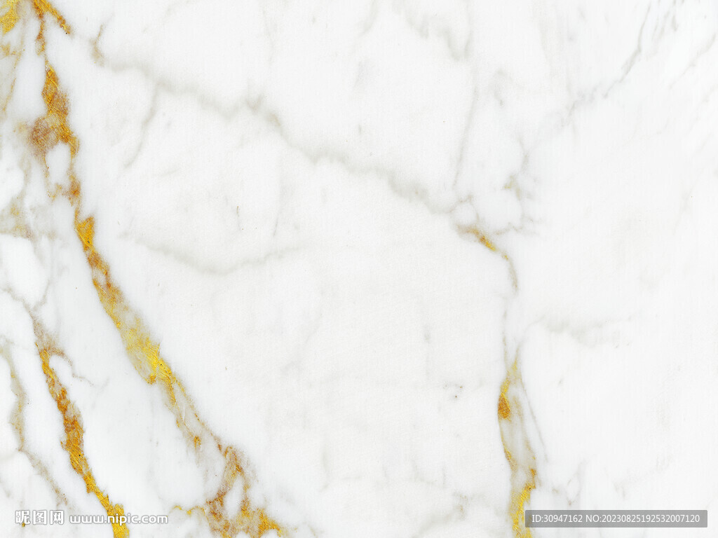 高档 新金线鱼肚白 tIF合层