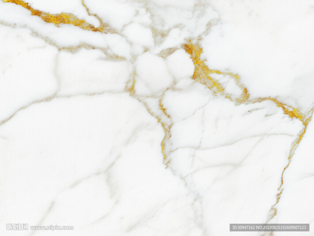 高端 新金线鱼肚白 tIF合层