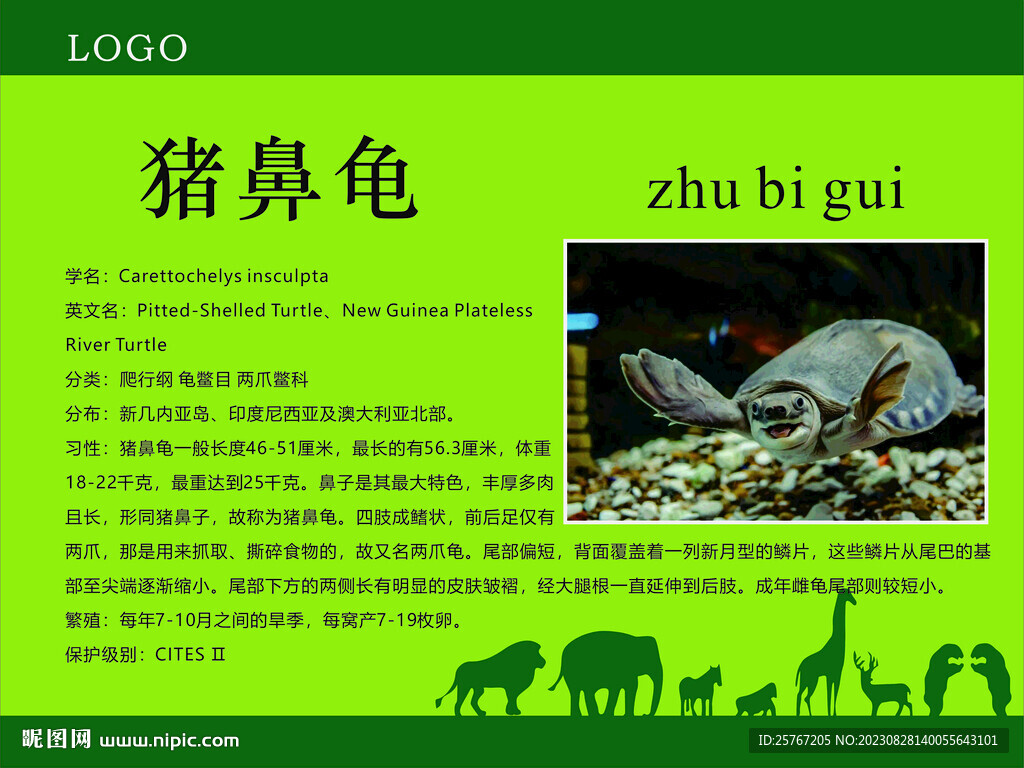 动物园简介介绍动物讲解绿色设计