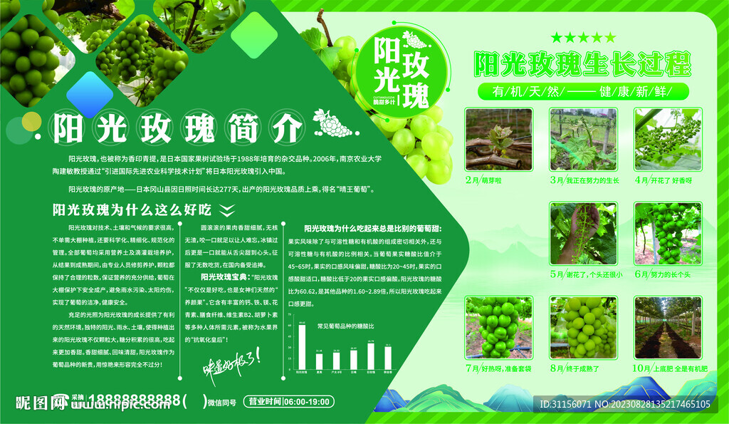 阳光玫瑰葡萄海报