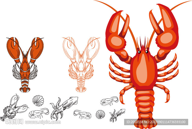 矢量龙虾海货素材
