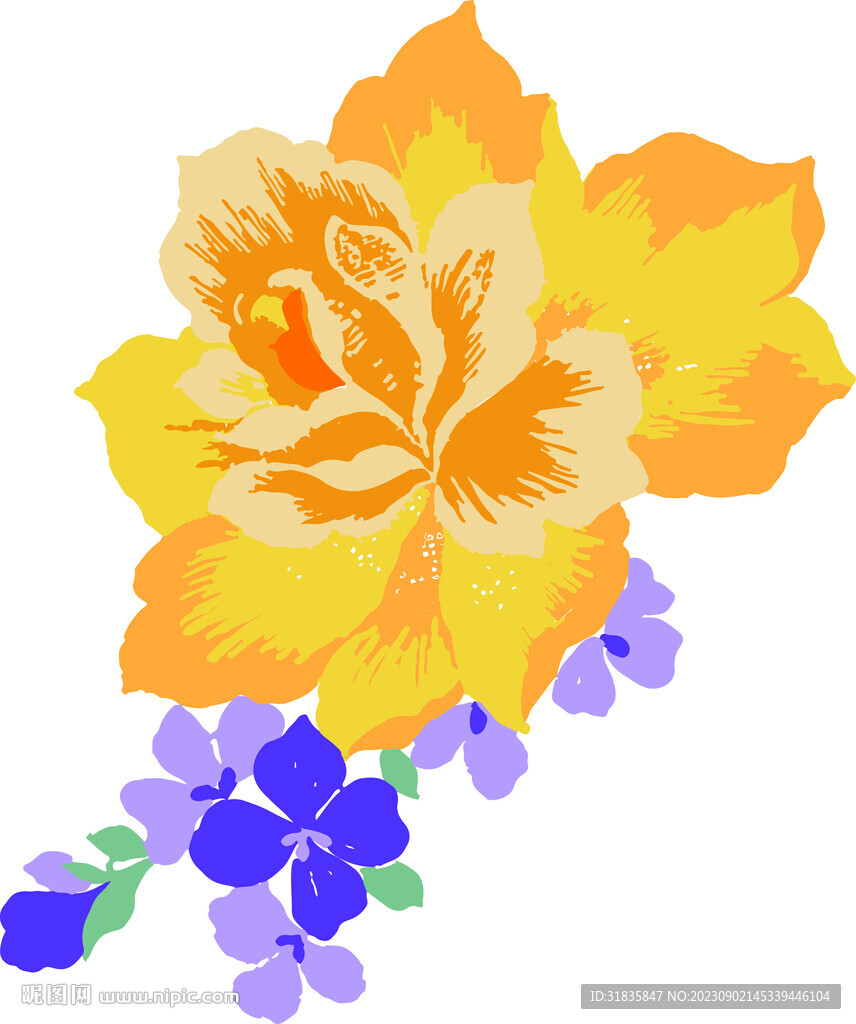 黄色花紫色叶子