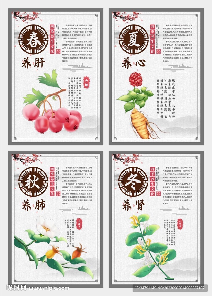 四季养生海报系列