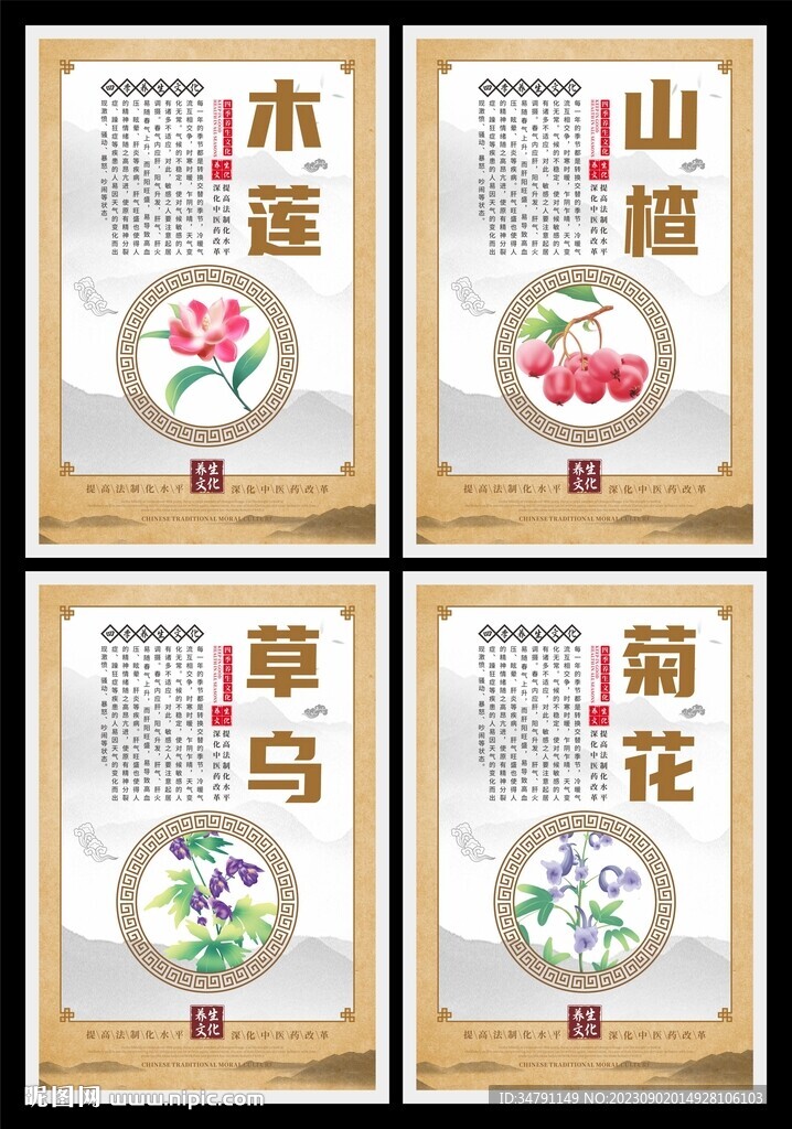四季养生海报系列