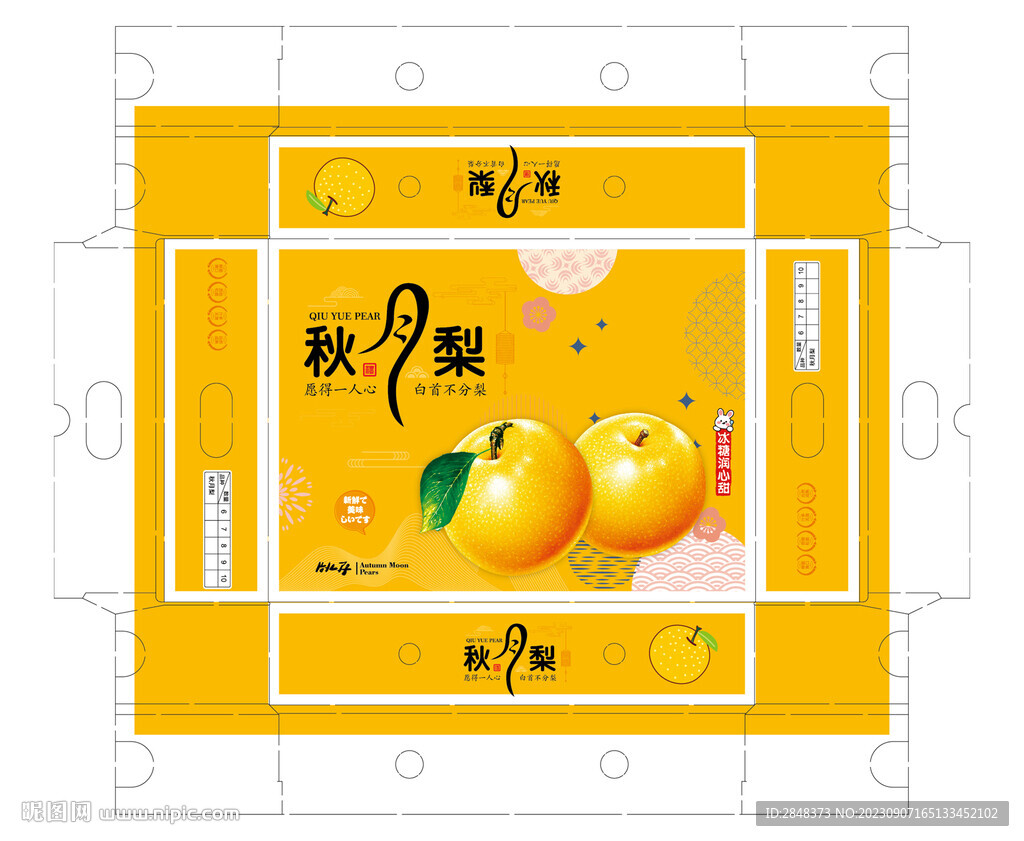黄色秋月梨平面展开图