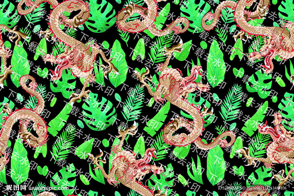 大牌龙 热带龙  动物