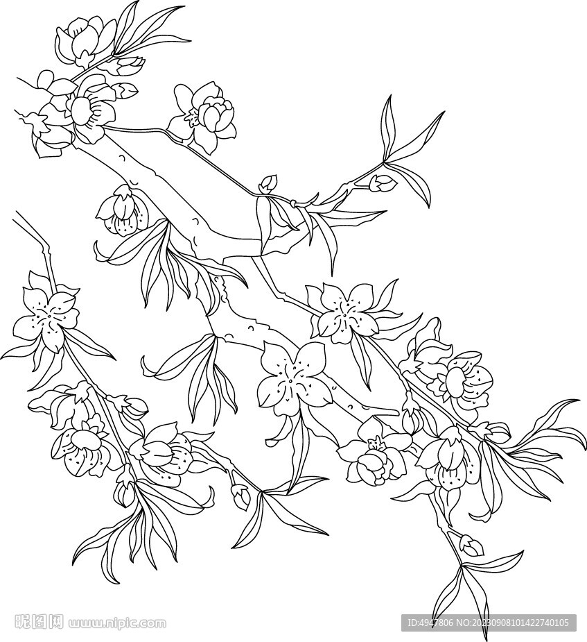 梅花 春梅 矢量图