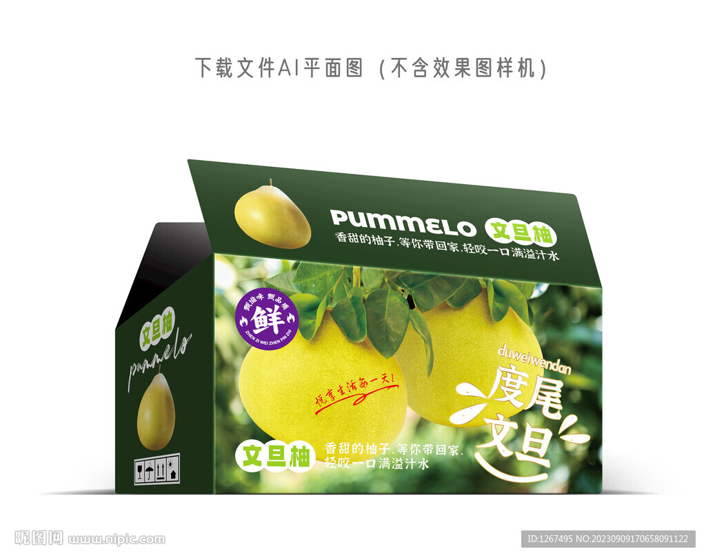 度尾文旦柚包装