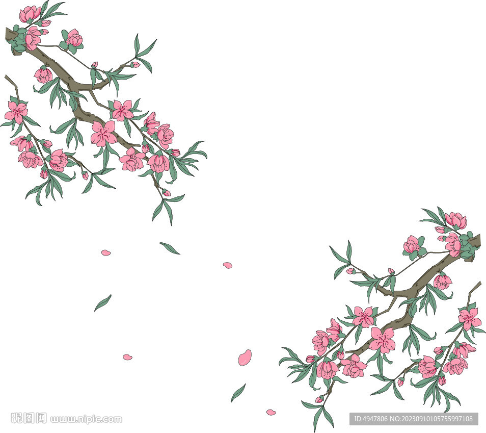 梅花 插画 矢量图