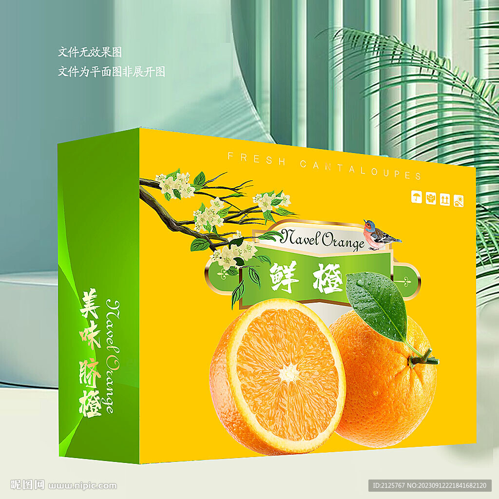 橙子包装