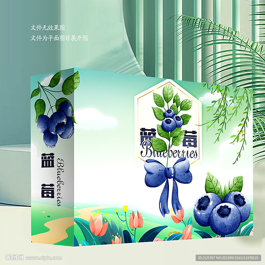 蓝莓包装