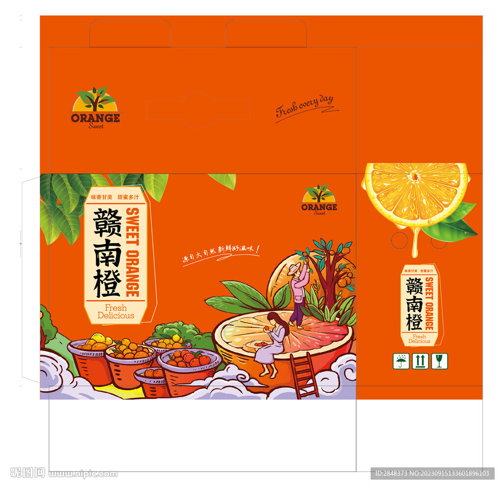 赣南橙平面展开图