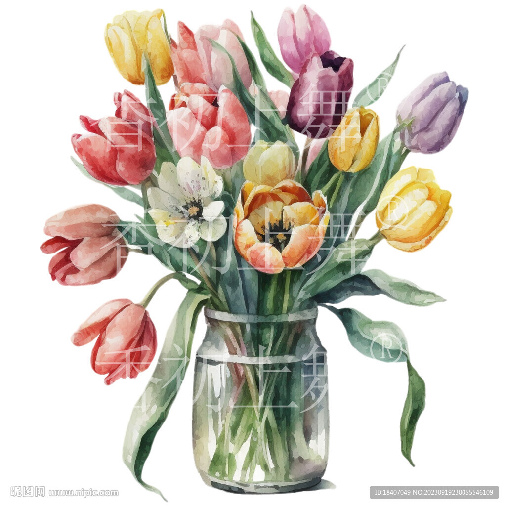水彩郁金香