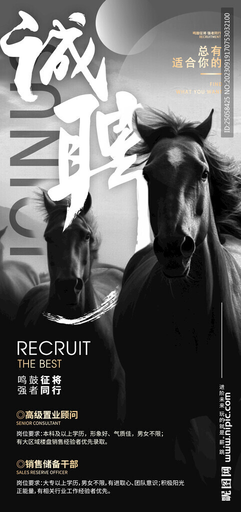 千里马招聘海报