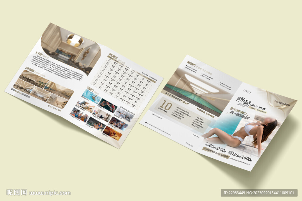  游泳健身预售折页图片