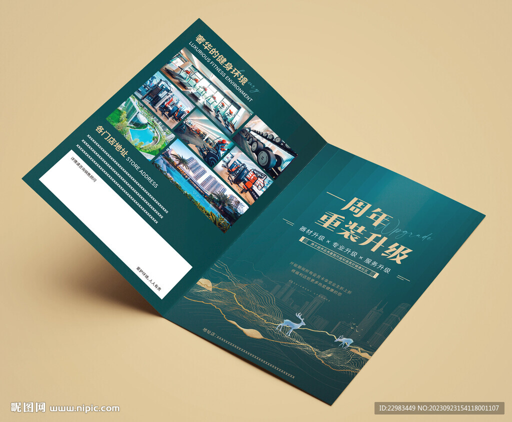 游泳健身瑜伽折页海报图片