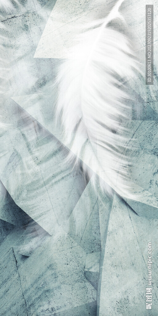 高档 简奢大气玄关 TiF分层