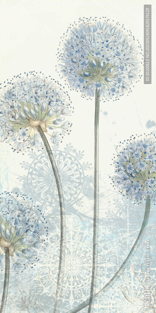 现代 欧式清晰玄关 TiF分层