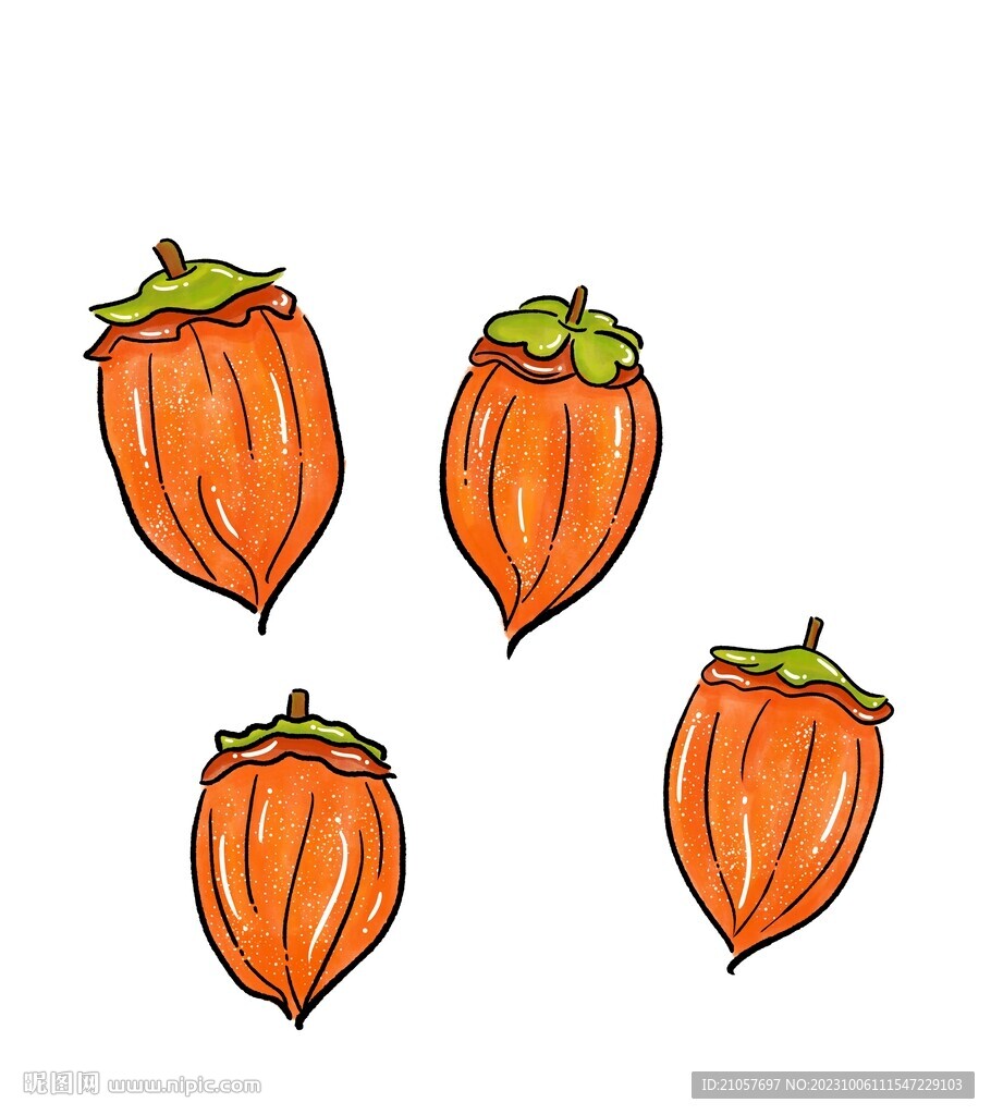 柿子 富平柿饼手绘 霜柿