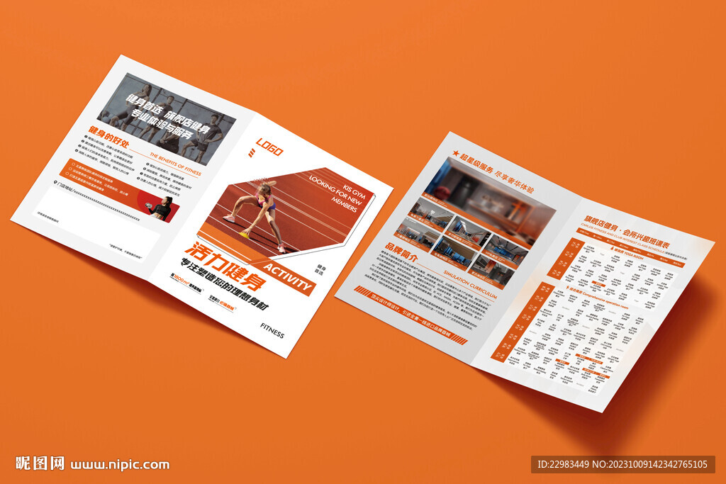 游泳健身预售折页图片