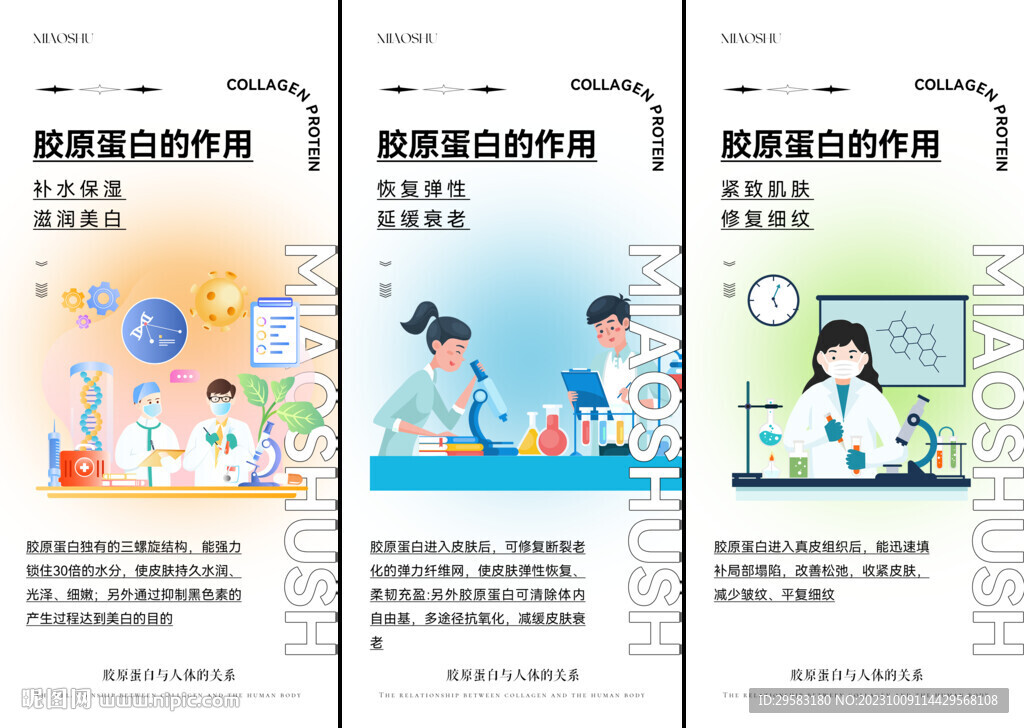 胶原蛋白的作用