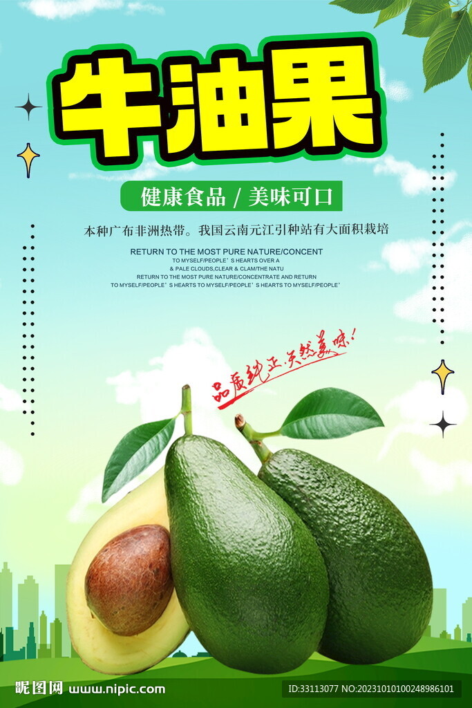 牛油果水果海报