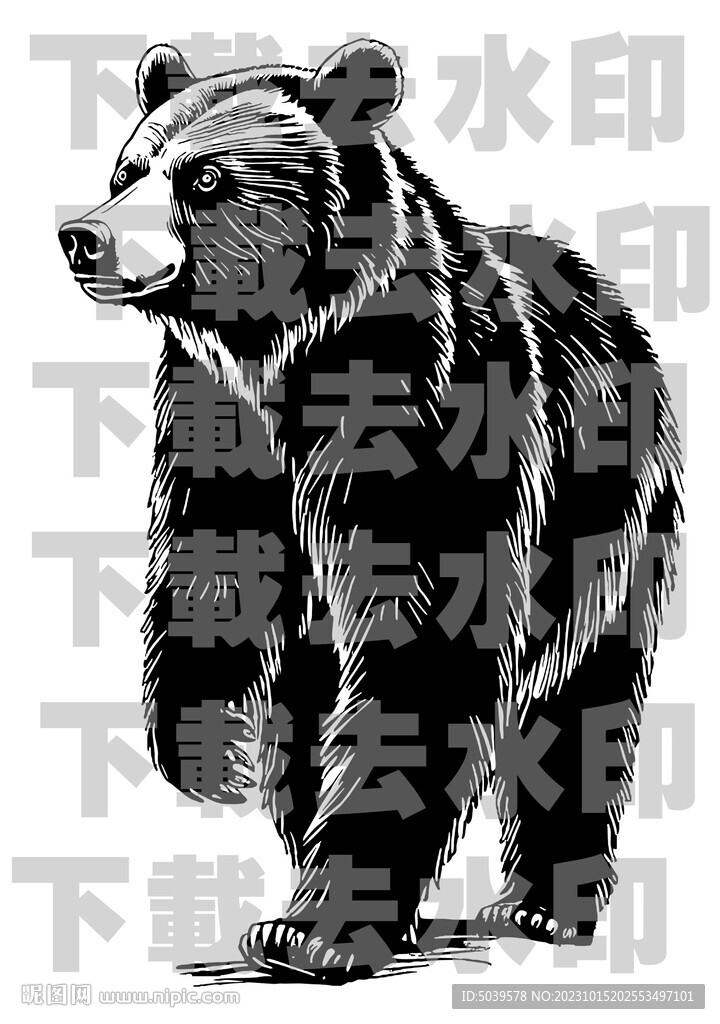 手绘线描黑熊矢量图