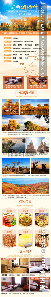 额济纳旗旅游 漫步胡杨