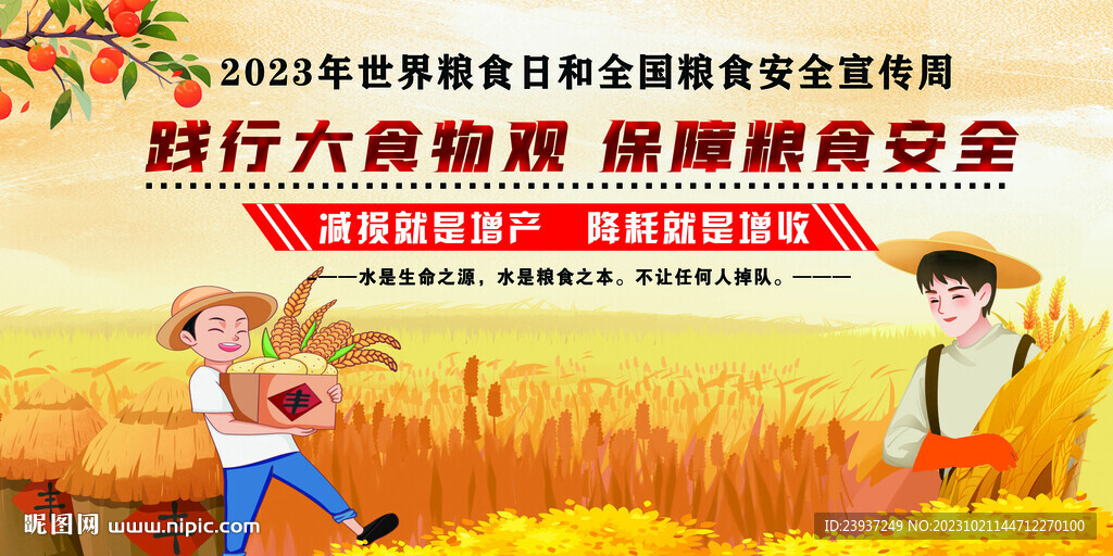 粮食安全宣传周展板