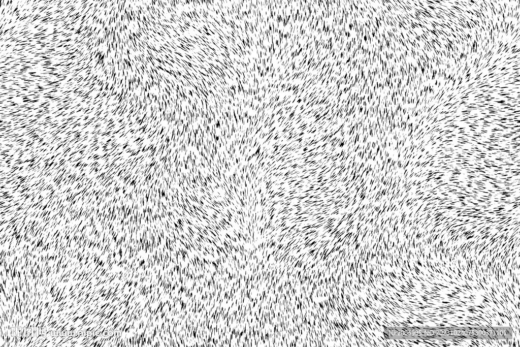 弯曲艺术毛发肌理