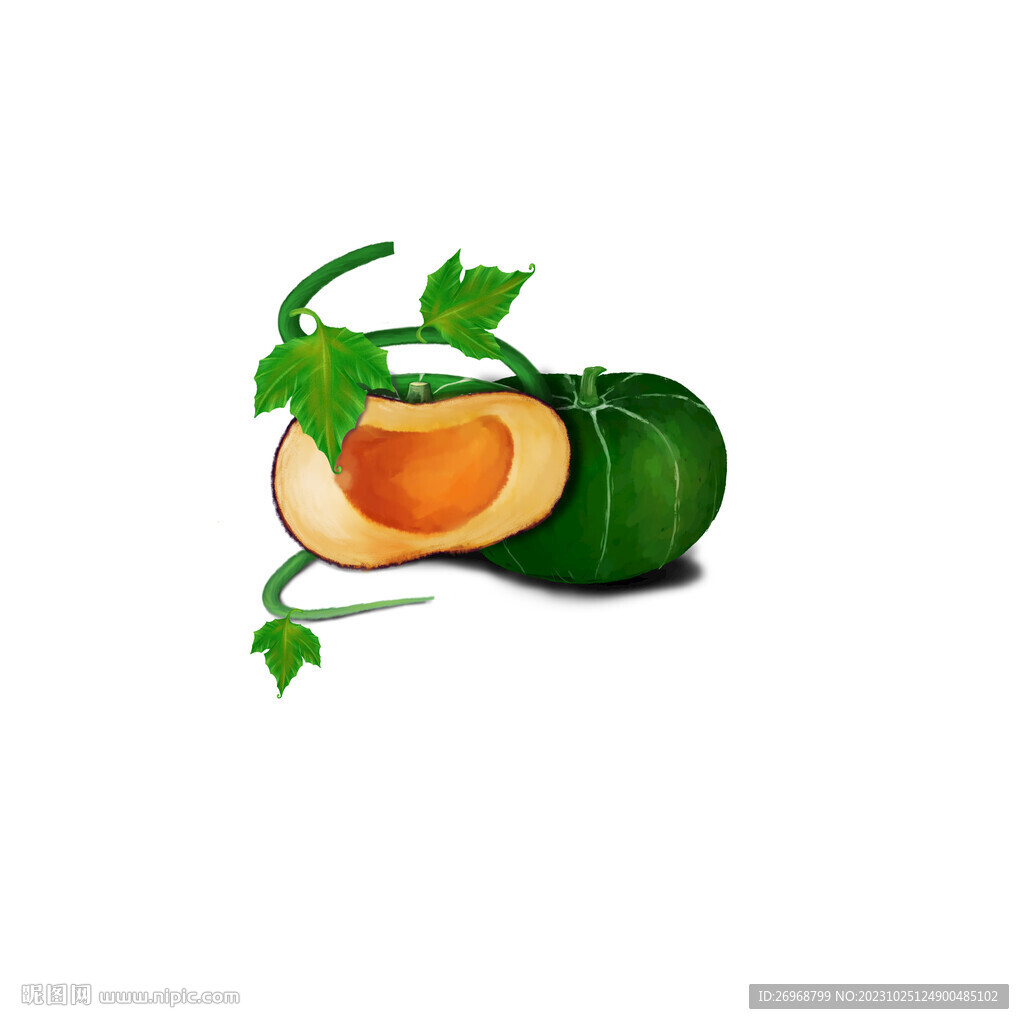 南瓜手绘  贝贝南瓜