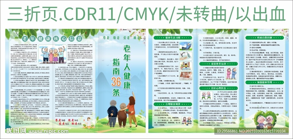 老年人健康指南三折页健康管理册
