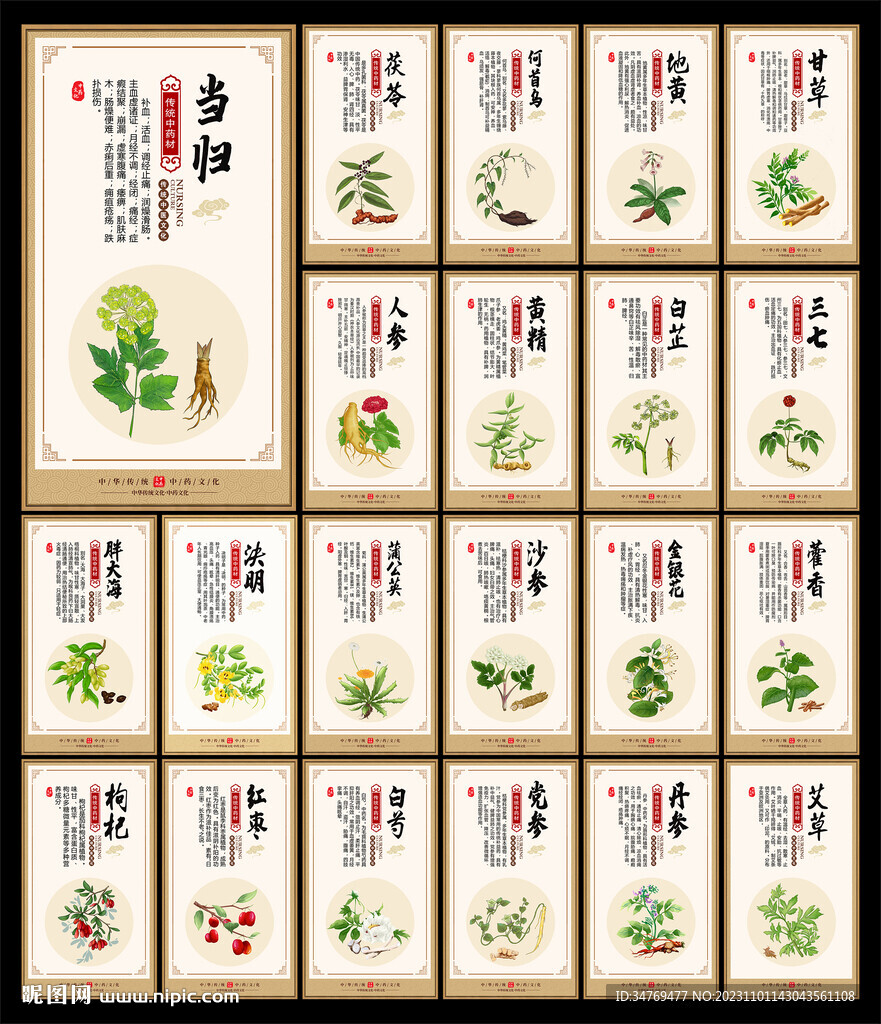 中药材植物图片