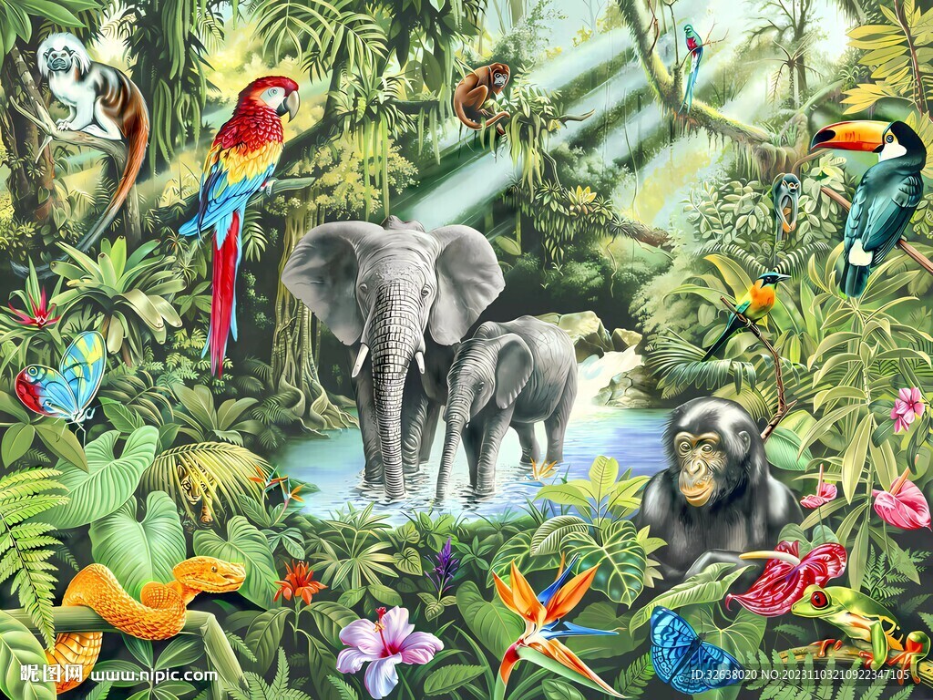 动物热带雨林背景壁纸