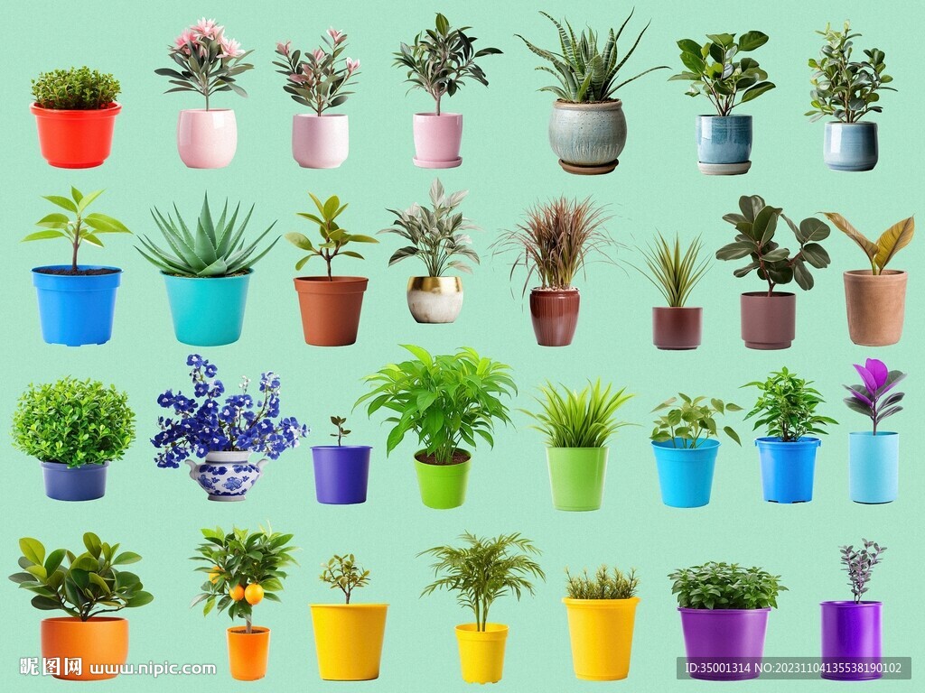 psd免抠盆栽植物