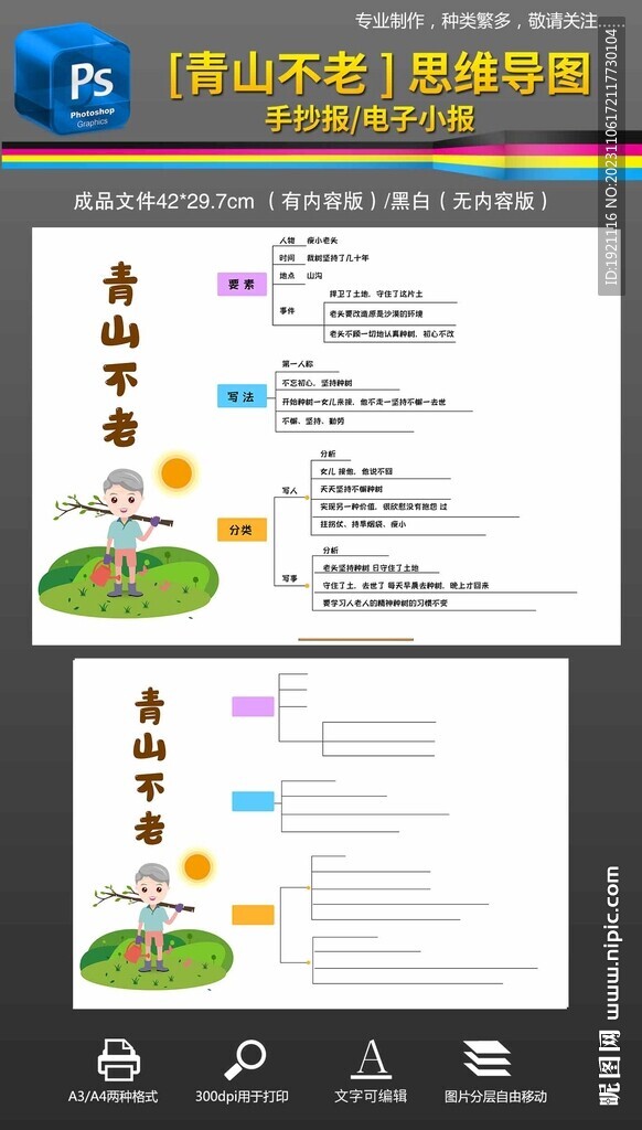 六年级青山不老思维导图手抄报